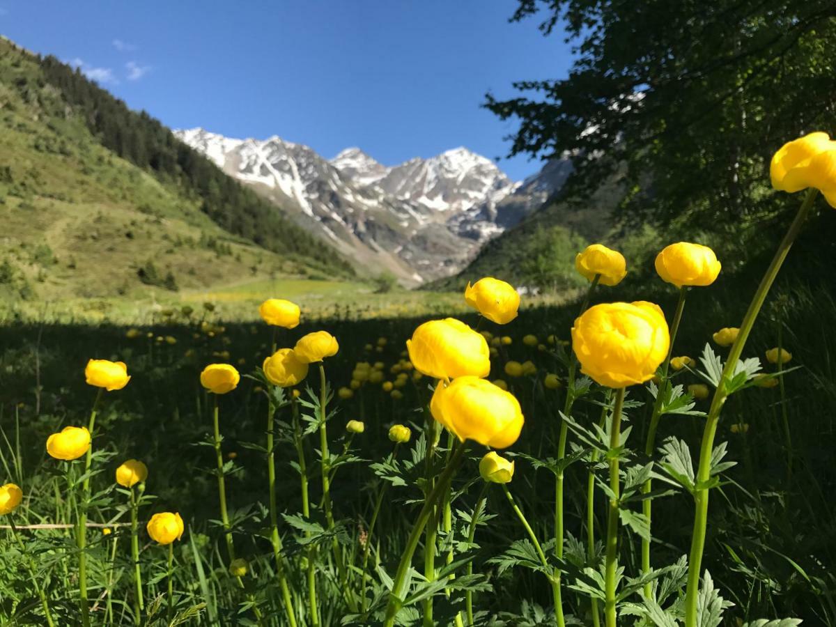 Gletscherblick
